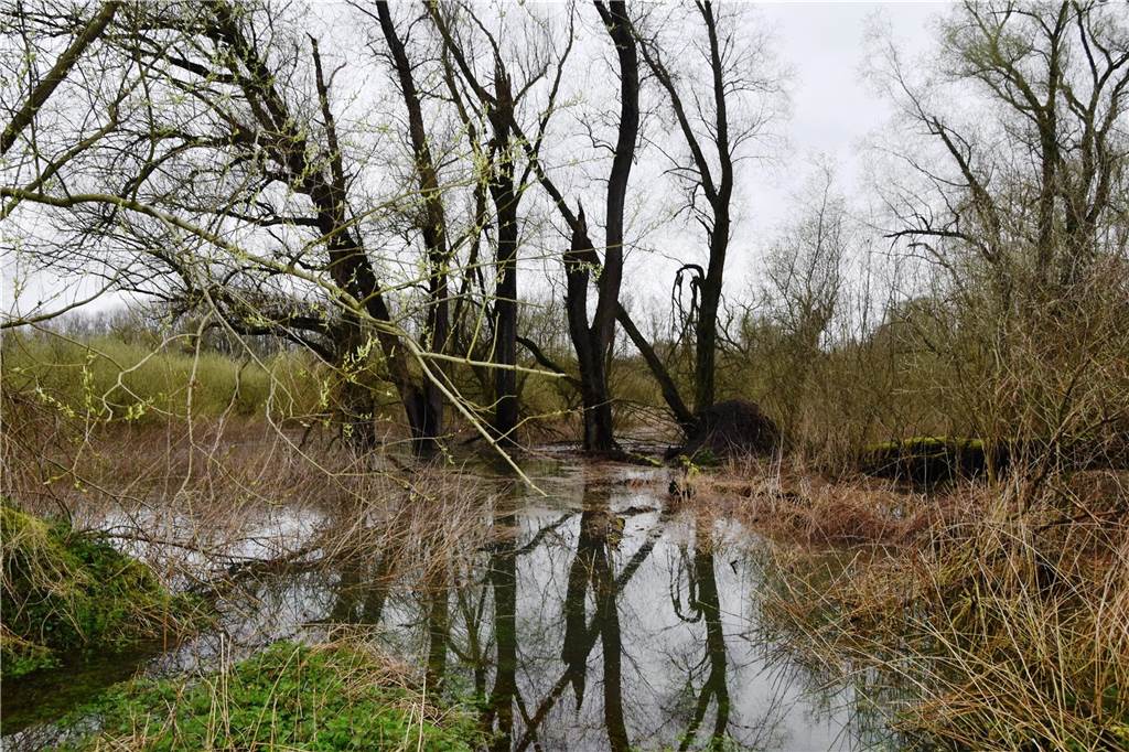 Das Naturschutzgebiet Lippeauen hat viel für's Auge zu bieten.