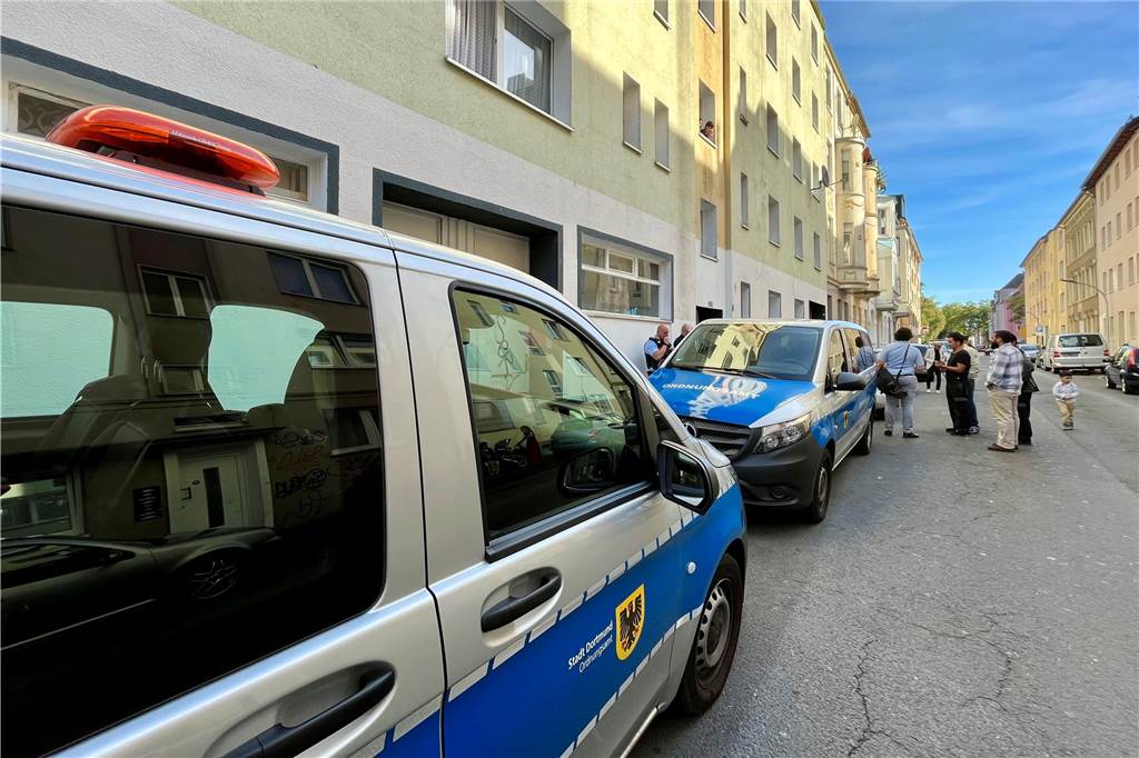 Ärger in der Nordstadt: Angesehener Künstler kündigt allen Mietern fristlos Das Ordnungsamt war mit zwei Wagen und mindestens acht Mitarbeitern zu dem Termin im Haus an der Mozartstraße in der Nordstadt gekommen.