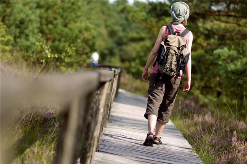 Das Pietzmoor bei Schneverdingen ist eine beliebte Touristenattraktion. Foto: Sven Hoppe
