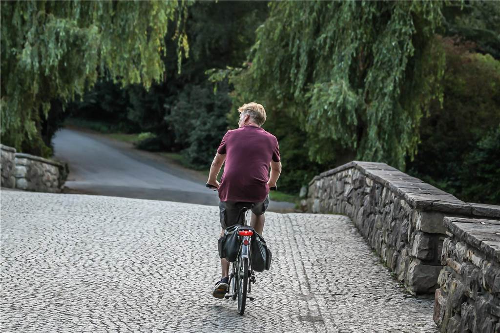 Freie Fahrt für Radler in Parks: Stadt legt Konzept für neue Verkehrsregeln vor Das Radfahren auf dem weitläufigen Gelände des Hauptfriedhofs hat schon mehrfach für Diskussionen gesorgt.