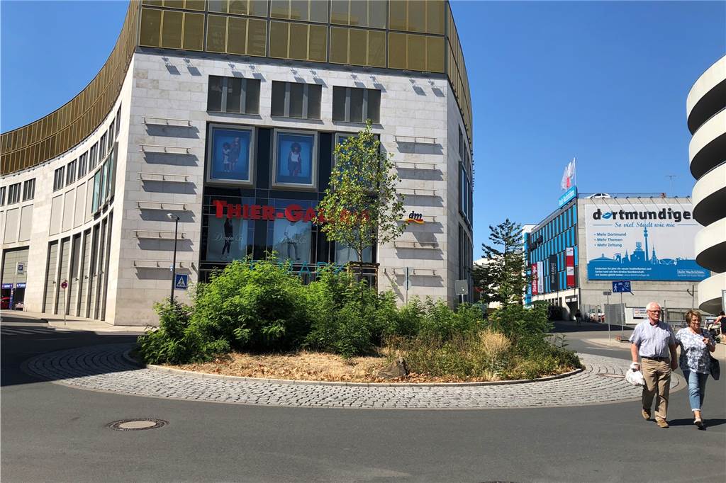 Rondell an der Kampstraße ist wieder erblüht Das Rundbeet im Kreisverkehr vor der Thier-Galerie muss noch bis Herbst auf eine neue Bepflanzung warten.