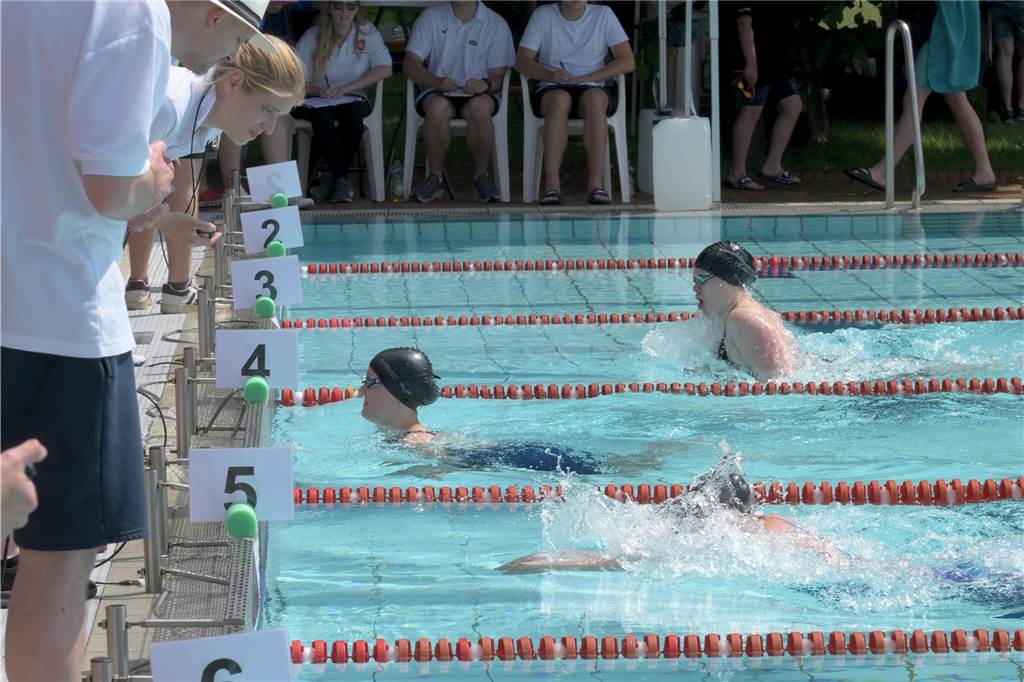 Das Salinenschwimmfest war auch in diesem Jahr wieder eine gelungene Veranstaltung.