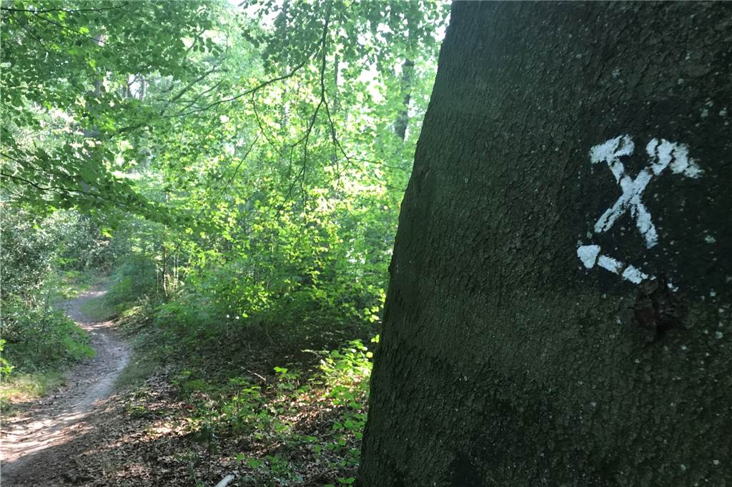 Wandern im Ruhrgebiet - unser Tipp für eine vierstündige Route Das Schlägel-und-Eisen-Symbol weist auf den Rundweg hin.
