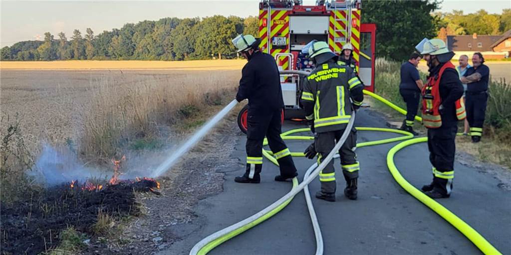 Fotostrecke: Felder gehen in Flammen auf - geht Feuerteufel in Werne um? Die Feuerwehr löscht einen Brand am Straßenrand.