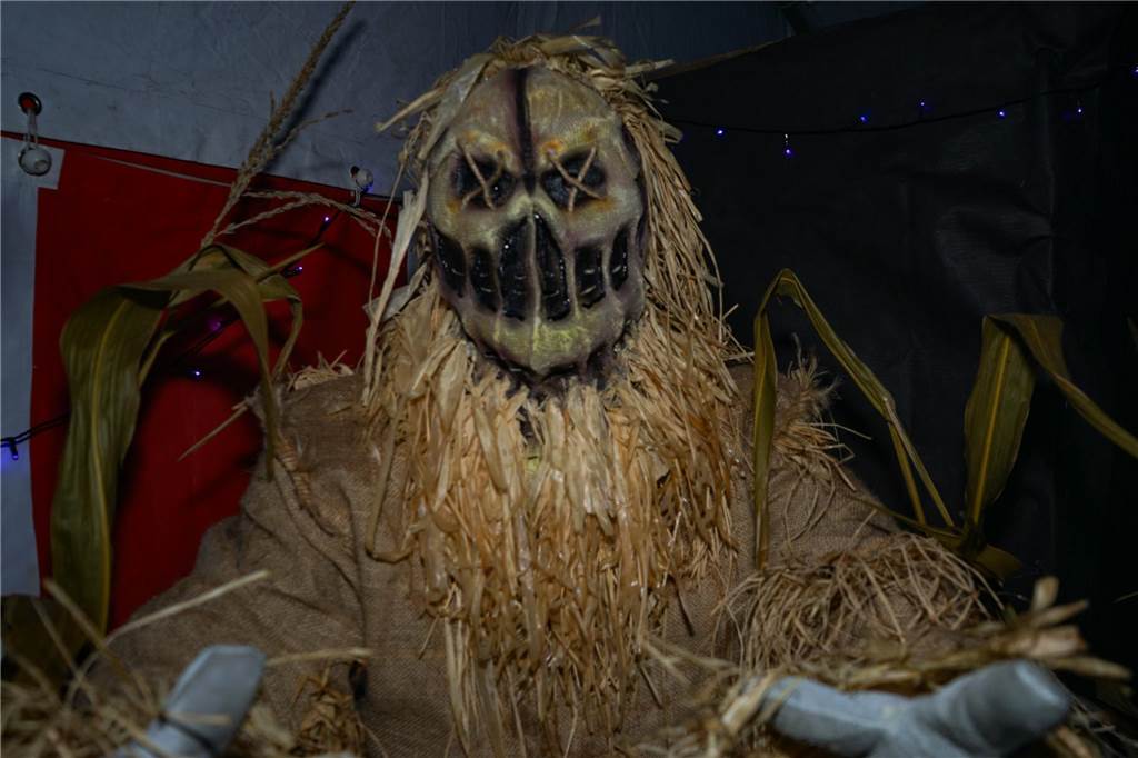 Halloween: Kirchhellen hat friedlich gefeiert - mit einer Ausnahme Das selbst gemachte Vogelscheuchen-Kostüm von Dave, einem Familienfreund der Pfeifers, sorgte für besonders große Augen bei den Besuchern des Halloween Hauses.