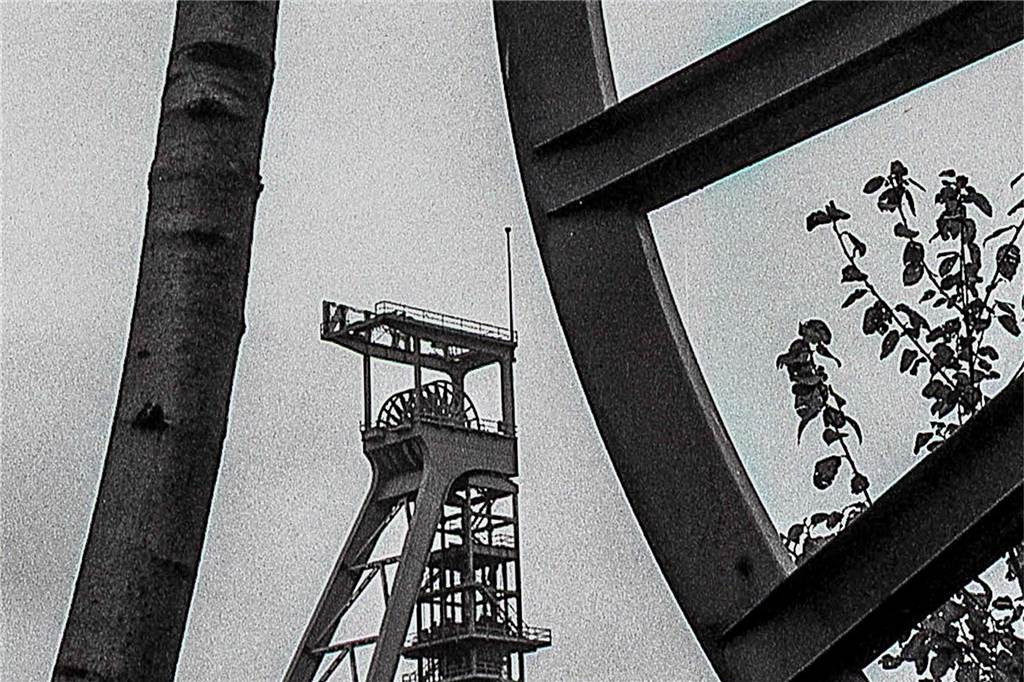 Das sind die Bilder, die Johannes Hünnemeyer und Helmut Orwat noch im Bestand des Künstlers gefunden haben. Mit diesen Motiven können sich Menschen eine Tapete anfertigen lassen.