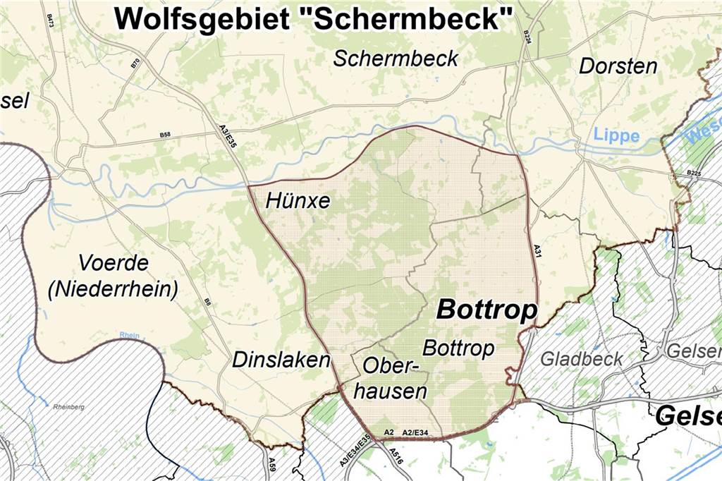 Kaum Nachfrage nach Herdenschutz für Kleinpferde im Wolfsgebiet Das Streifgebiet im Wolfsgebiet Schermbeck ist rot umrandet.