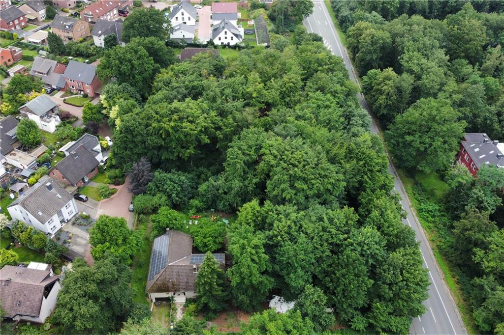 Halterns Bürgermeister zur Bürgeraktion: „Petition greift ins Leere“ Das Sythener Wäldchen wird bebaut. Zur Münsterstraße hin bleiben Bäume stehen, die dann von den neuen Eigentümern der Häuser gepflegt werden müssen.