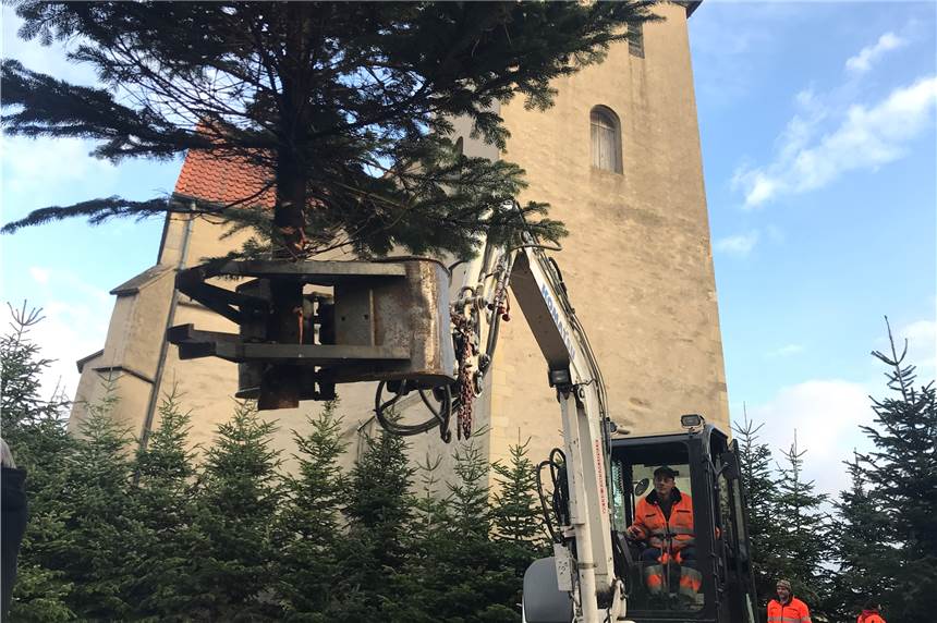 Glitzerwald in Selm öffnet am 21. November mit zwei Überraschungen Das Team der Stadtwerke Selm „pflanzt“ den Glitzerwald rund um die Friedenskirche: mehr als 100 Tannen auf weichem Mulch-Boden.