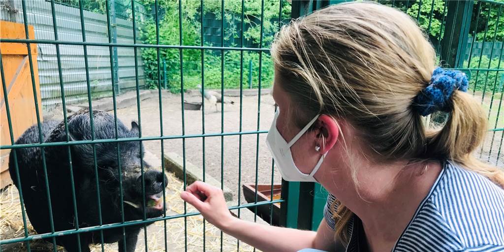 Energiekrise trifft Dorstener Tierheim: Marina Hinz erklärt die Folgen Das Tierheim in Dorsten muss sich in diesem Jahr auf höhere Heizkosten einstellen.