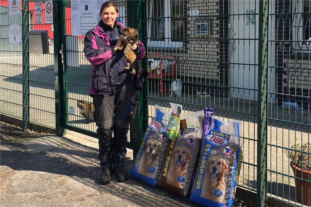 Tierheim-TV: Tierische Bewohner werden im Internet zu „Filmstars“ Das Tierheim-Team freut sich, dass einige Dorstener Bürger Futterspenden vor das Tor stellen.