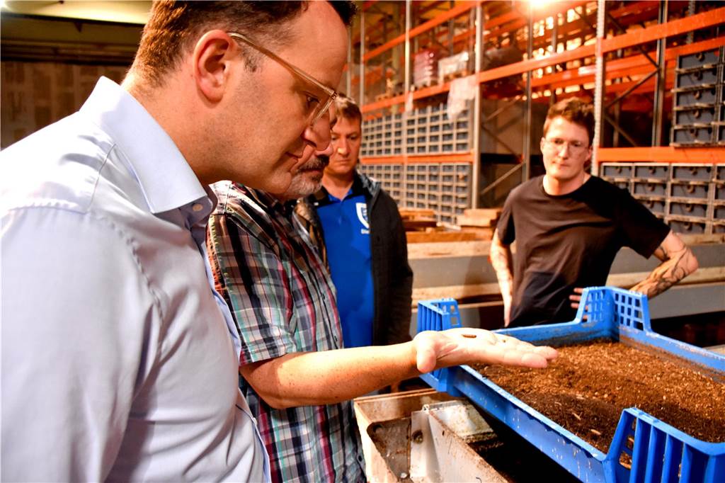 Deutscher Nachhaltigkeitspreis: Illucens aus Alstätte räumt Preis ab Der Züchter in Alstätte zeigt seinem Gast Jens Spahn die Maden.