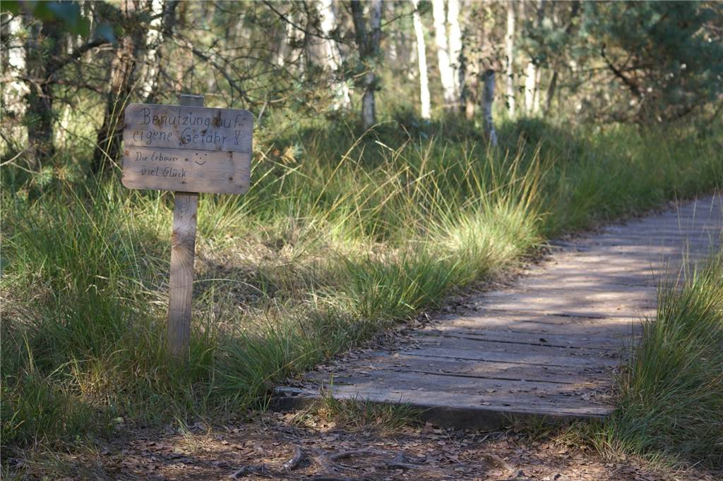 Ausflugstipps für Familien in den Ferien: Moor, Zoo, Dreiländereck und mehr Das Venner Moor hat den Vorteil, dass es nicht so überlaufen ist.