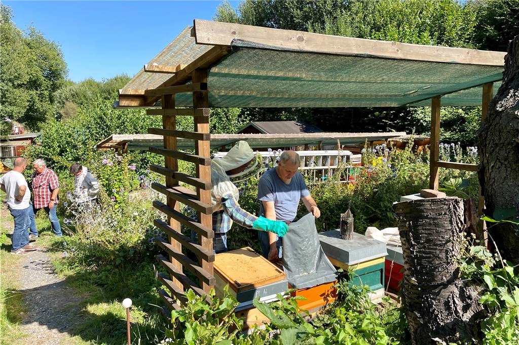 Imker erweitern ihr Bienen-Paradies: Blumenwiese statt Brachgelände Das Vereinsgelände an der Sulpkestraße dient als Standort für Bienenstöcke, Treffpunkt, Lehrpfad und Schulungsort.