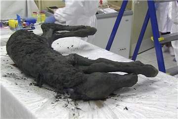 Das Videostandbild zeigt das gut erhaltene Fossil. Foto: AP