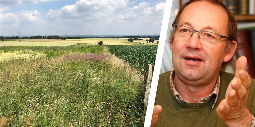 EU will weniger Pestizid-Einsatz – Bauern sehen Vogelschutz gefährdet Das Vogelschutzgebiet Hellwegbörde erstreckt sich ungefähr entlang der Bundesstraße 1 zwischen Unna und Paderborn. Der Kamener Landwirt Hans-Heinrich Wortmann sieht durch ein drohendes Pestizid-Verbot auf hier bewirtschafteten Flächen den Vogelschutz gefährdet statt gestützt.