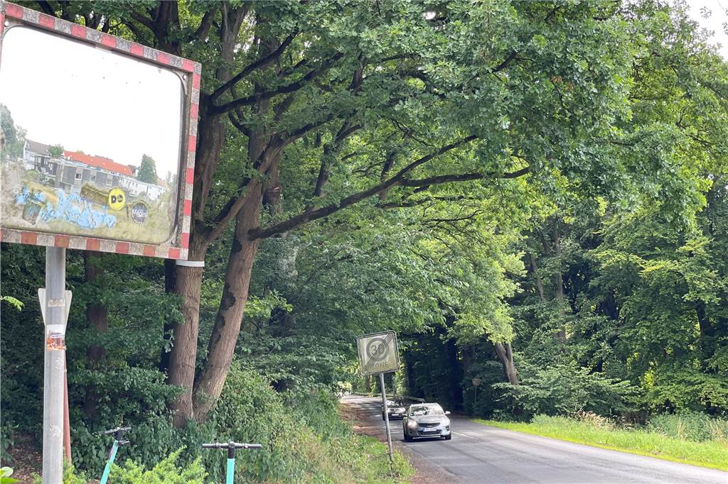 Idylle für Castrop-Rauxeler Familie wieder vorbei: „Viele geben Knallgas“ Das Waldstück am Hellweg lädt Autofahrer zum Beschleunigen ein. Bis 13. Juni war es gesperrt.