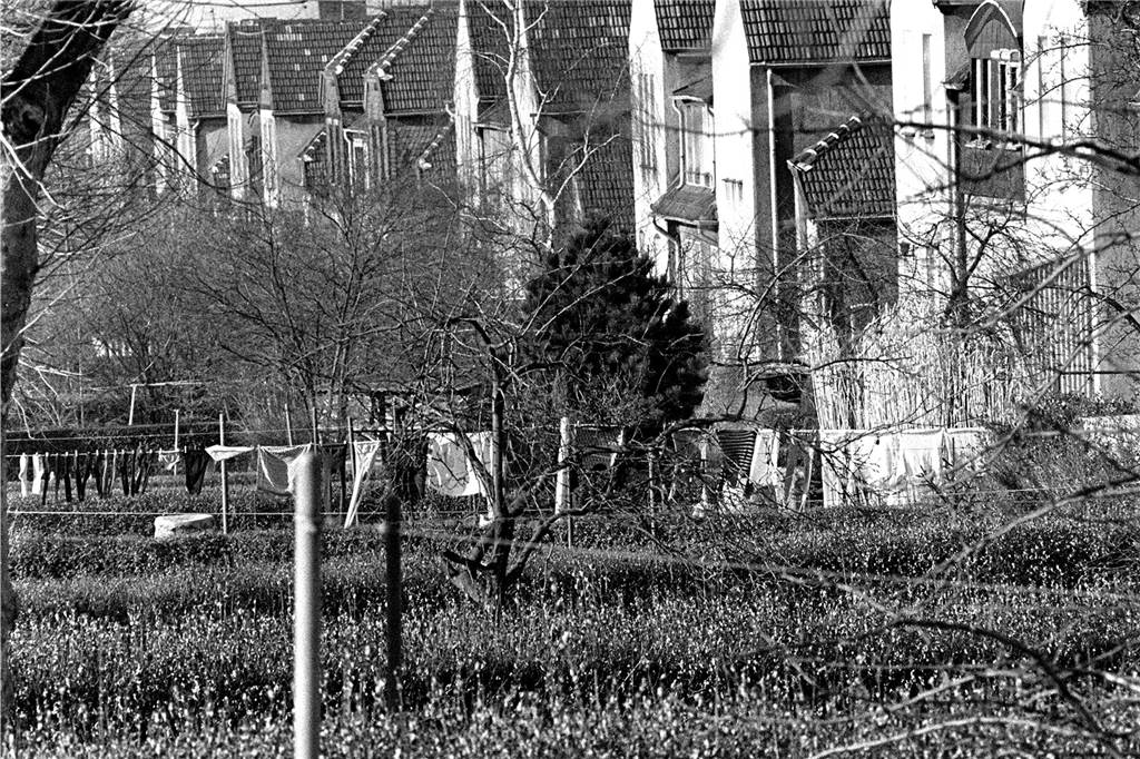 Das war die Kolonie in Horstmar.