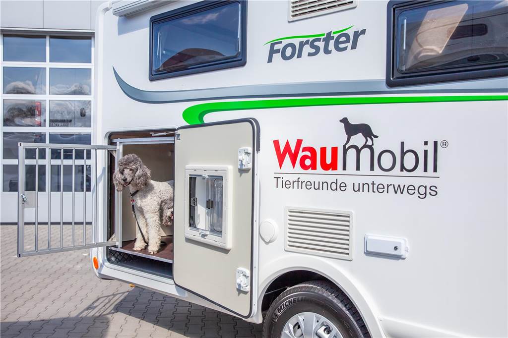 Mietstation für Wohnmobile für Hunde eröffnet in Haltern Ein Pudel steht in einem umgebauten Wohnmobil der Firma "Waumobil".