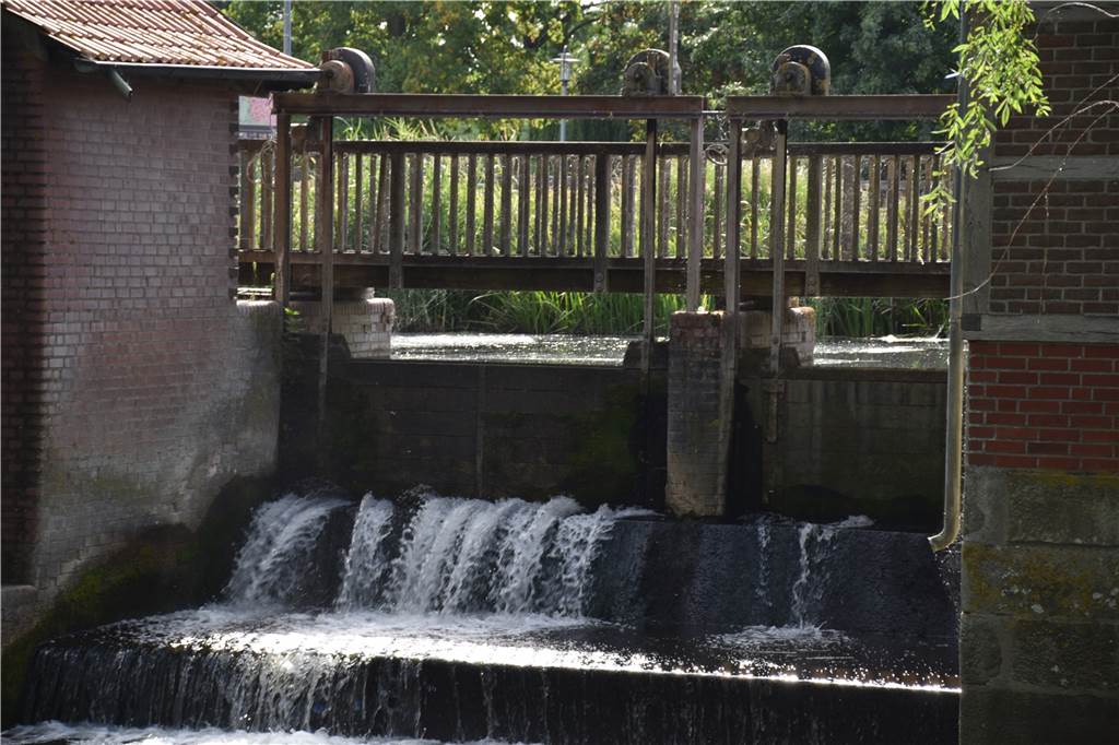 Undichtes Wehr an der alten Wassermühle sorgt für Zündstoff Das Wehr an der alten Wassermühle ist schon seit Langem nicht mehr ganz dicht.