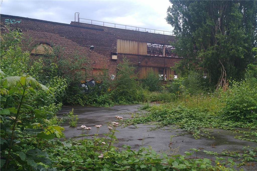 Die alten Thyssen-Krupp-Hallen werden gerade abgebaut Das Wellblech wurde nach und nach abgetragen. Das Stahlgerüst der Hallen ist schon sichtbar.