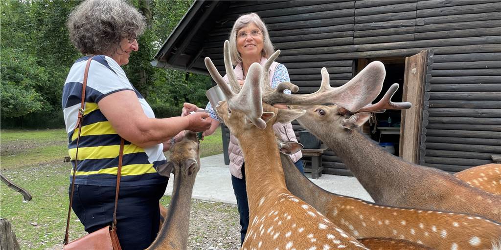 Zwei Castrop-Rauxeler Retterinnen: Das sind No-Gos für Bürgerinitiativen Das Wildgehege in Deininghausen wurde gerettet, weil sich 2004 eine Bürgerinitiative dafür stark machte. Marianne Scheer ist bis heute aktiv im Grutholz. Christel Speer hingegen kämpfte erfolgreich für den Erhalt der Realschule.