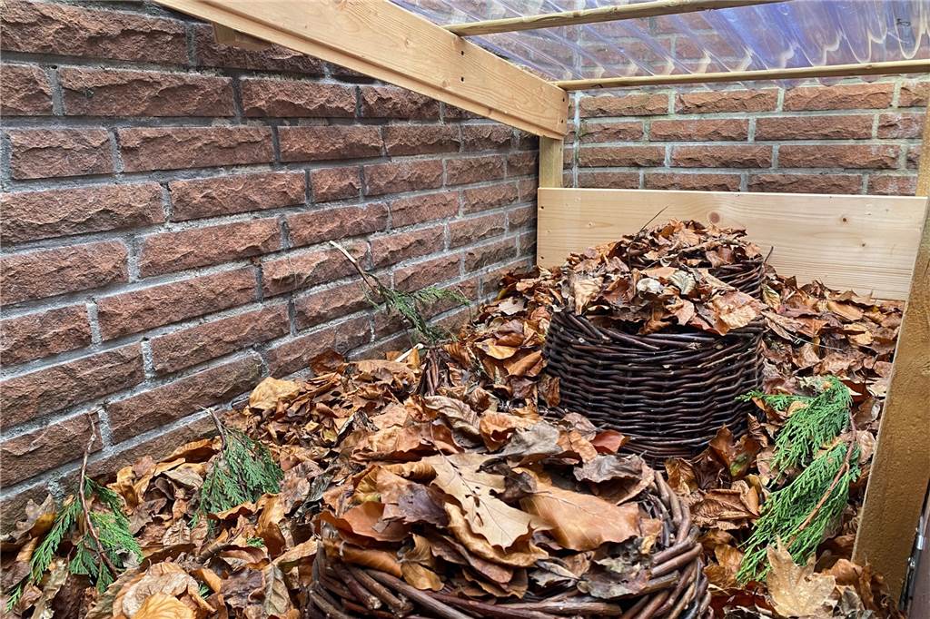 Ehepaar in Lippramsdorf päppelt hilfsbedürftige Igelbabys auf Auf dem Foto sind drei Nester zusehen, die mit Laub bedeckt sind. Die Igel können darin ihren Winterschlaf halten.