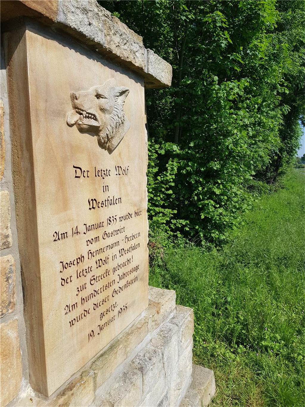 „Zum letzten Wolf“ im Dornröschenschlaf: „Möchten endlich beginnen“ Das Wolfsdenkmal an der B54