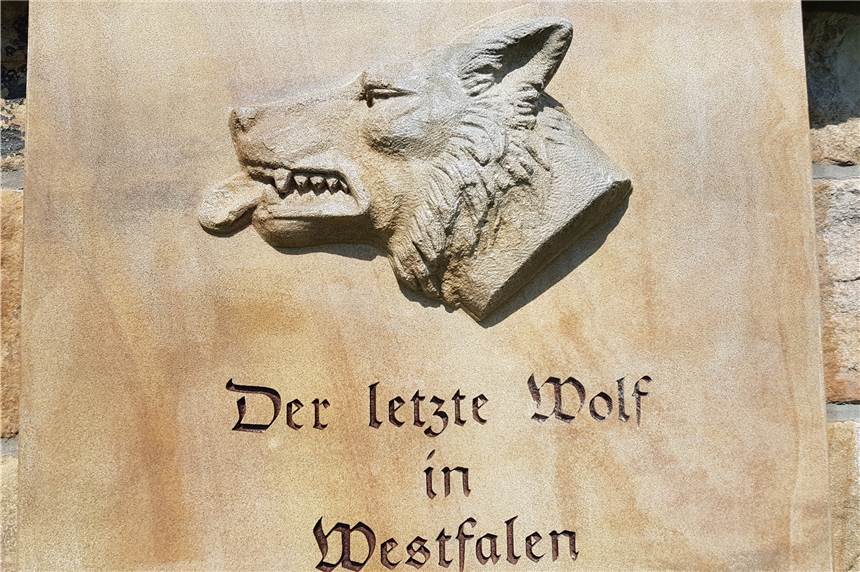 Das Denkmal für den letzten Wolf zwischen Herbern und Werne ist wieder oben ohne Das Wolfsdenkmal ist wieder frei von allen Vorrichtungen, die das Ruhr Museum für die Abrucknahme angebracht hat.