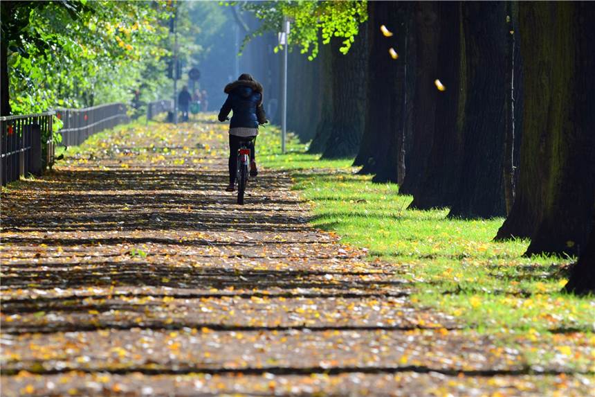 Plan für Radweg: In einem Rutsch von Castrop-Rauxel über Datteln nach Olfen Das wünschen sich Radfahrer: Auf sicheren und landschaftlich schönen Wegen fahren zu können. In einem Rutsch sollen bald Radler von Datteln nach Olfen fahren können.