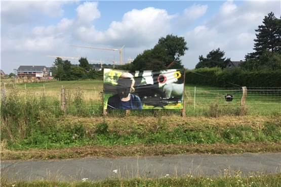 Wahlplakate in Nordkirchen zerstört: Wieder traf es dieselbe Partei