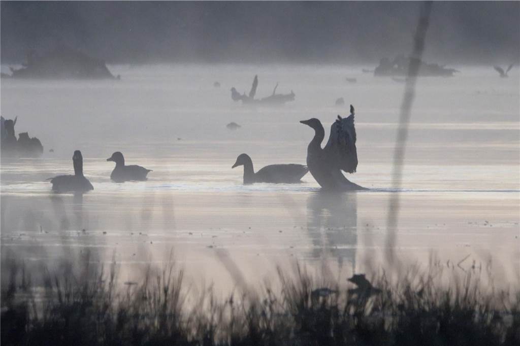 Glücksorte in Vreden und Legden: Münsterland-Buch gibt Ausflugstipps Das Zwillbrocker Venn ist ein stimmungsvoller Glücksort – auch wenn die Flamingos gerade mal nicht da sind.
