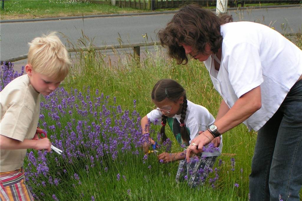 Eine Institution: Maria Thier nimmt Abschied vom Kindergarten St. Laurentius Maria Thier und Kinder in einer Wildblumenwiese