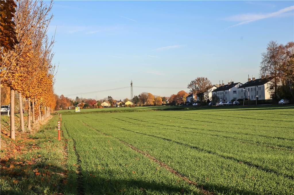 Wambel: Ein beliebtes Dorf in Stadtnähe mit ersten Warnzeichen Dass diese Grünfläche an der Hannöverschen Strasse bebaut wird, wird in Wambel kritisch diskutiert.