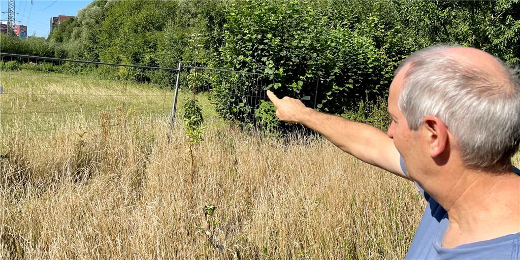 Imker erweitern ihr Bienen-Paradies: Blumenwiese statt Brachgelände David Tews zeigt die ehemalige Brachfläche, die der Imker-Verein nun beackert.