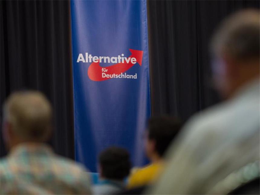Angst vor Globalisierung Antreiber für EU-weiten Populismus Delegierte auf einem Parteitag der AfD. Foto: Maja Hitij/Symbolbild