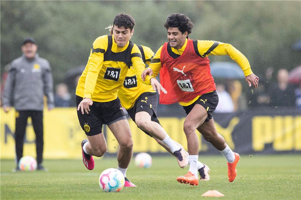 Modeste, Dahound und Co.: Die zweite BVB-Reihe zündet nicht Giovanni Reyna und Mahmoud Dahoud kämpfen um den Ball.