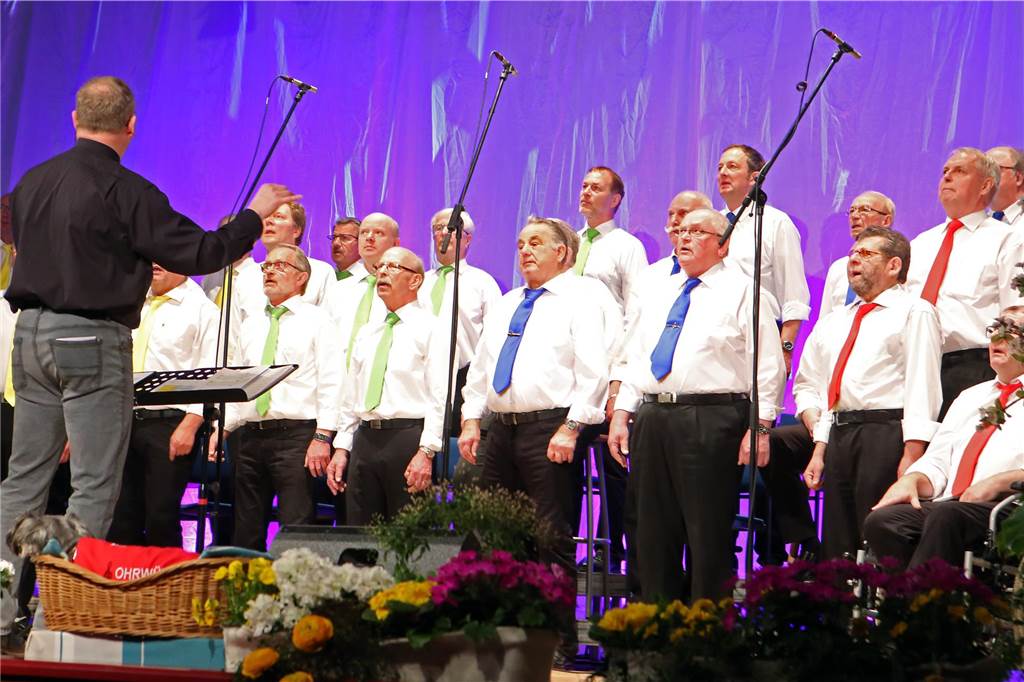 Konzert der Ohrwürmer