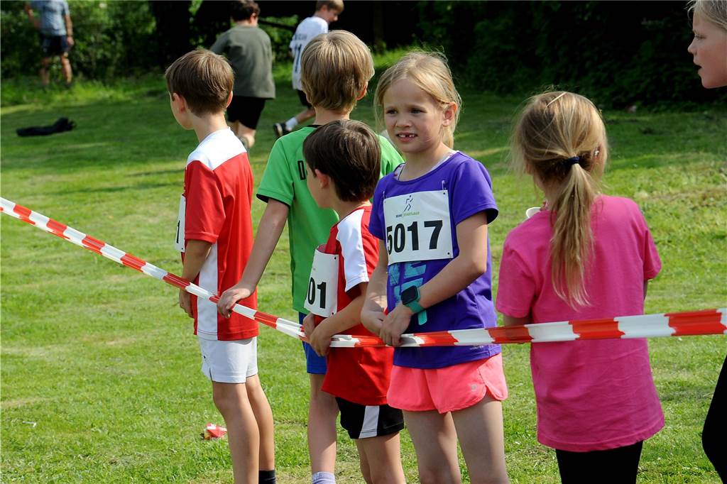 Der 16. Schwerter Ruhrstadtlauf in Westhofen.