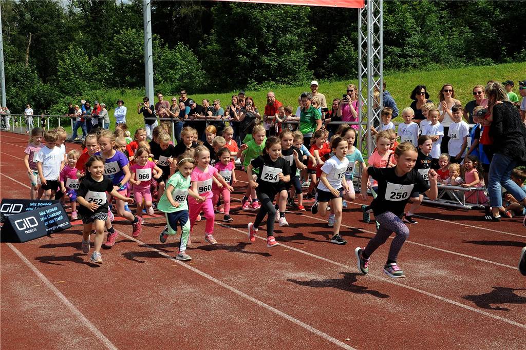 Der 16. Schwerter Ruhrstadtlauf in Westhofen.