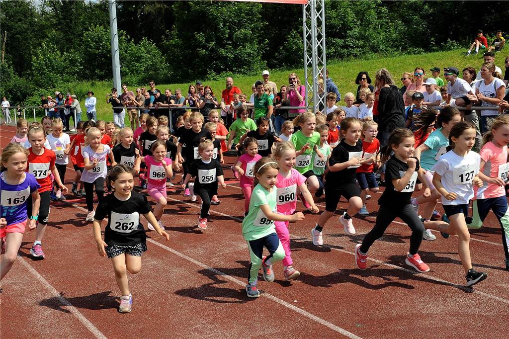 Der 16. Schwerter Ruhrstadtlauf in Westhofen.