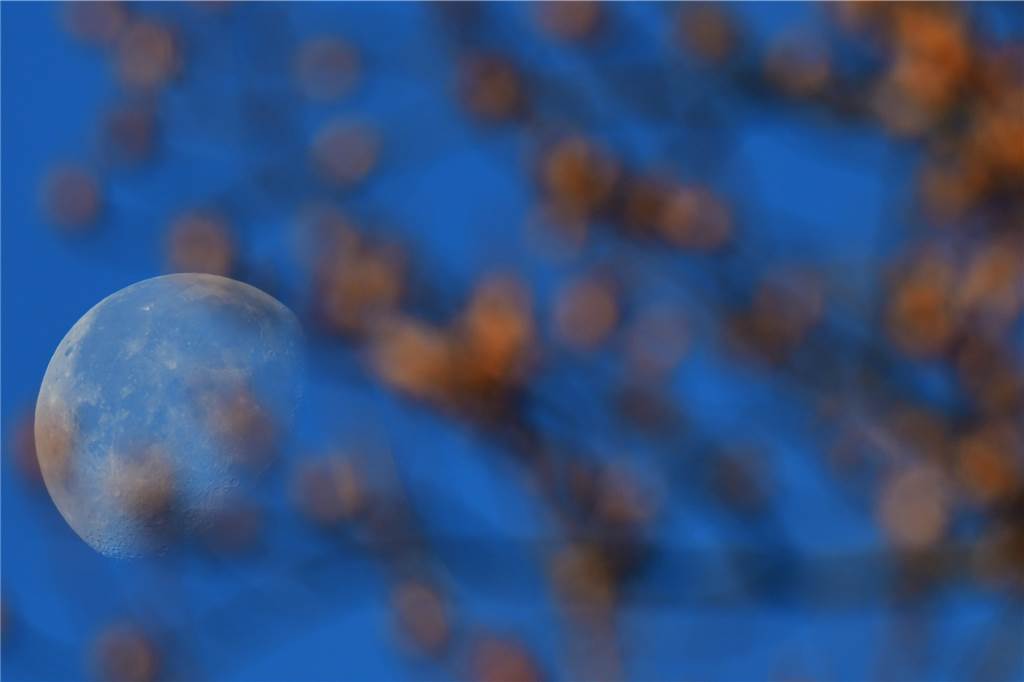 Der abnehmende Mond hat sich hinter den herbstlich anmutenden Bäumen versteckt.