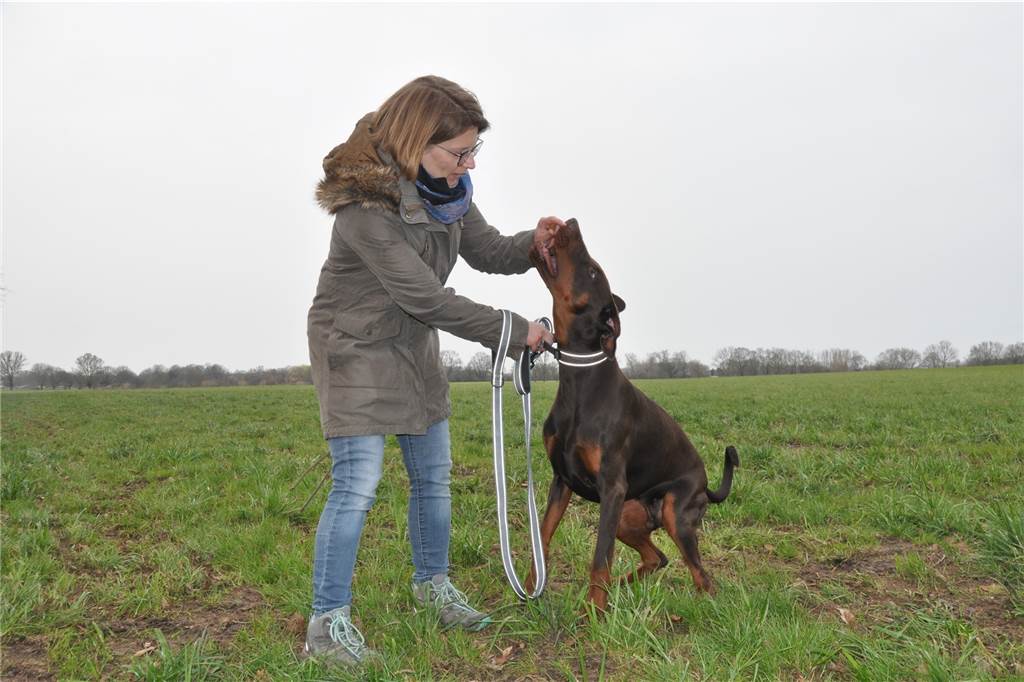 Selm braucht eine Hundewiese - oder nicht? Der acht Monate alte Bobby ist noch so verspielt, dass Besitzerin Denise Bajranow es als Segen empfindet, ihn auch einfach mal laufen zu lassen.