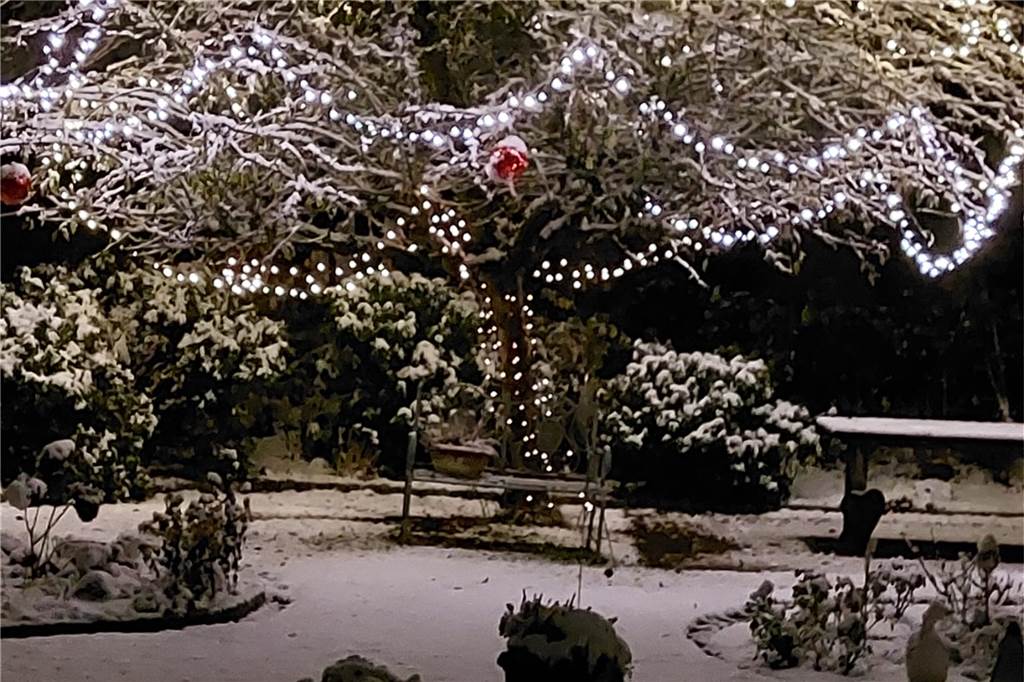 Der Apfelbaum von Ingrid und Franz Schade aus Selm ist nicht nur mit Frost überzogen, sondern auch schön geschmückt.