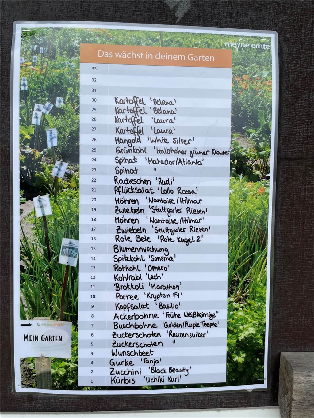 Selbst ernten und pflegen: Dortmunderin Jennifer im Mietgarten-Glück Der Aushang an der Equipment-Hütte erklärt den Hobby-Gärtnern, welche Gemüse-Sorte in welchem Abschnitt ihres Miet-Gartens ausgepflanzt ist.