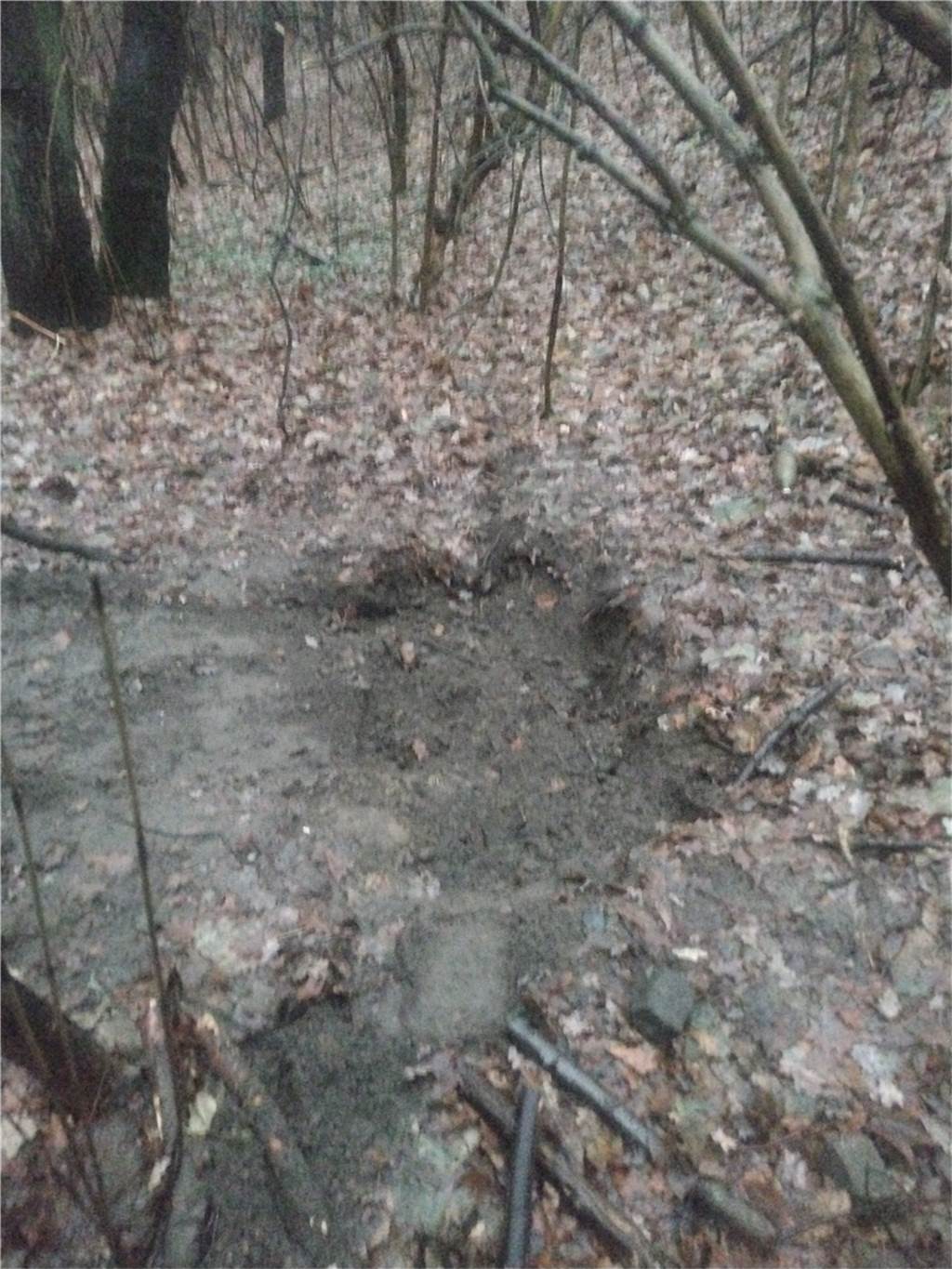 Unheimlich Fund im Wald: Größerer Polizeieinsatz am Dorstener Kanal Der Aushub im Boden wurde von der Polizei und der Feuerwehr untersucht.