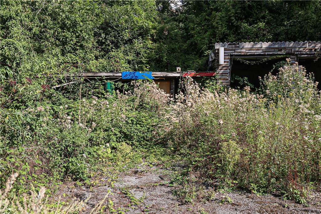 Kult-Brauerei will Lost Place zu neuem Biergarten machen – Stadt lässt Besitzer abblitzen Der baufällige Kiosk erinnert an frühere Zeiten, als die Minigolfanlage noch genutzt werden durfte.
