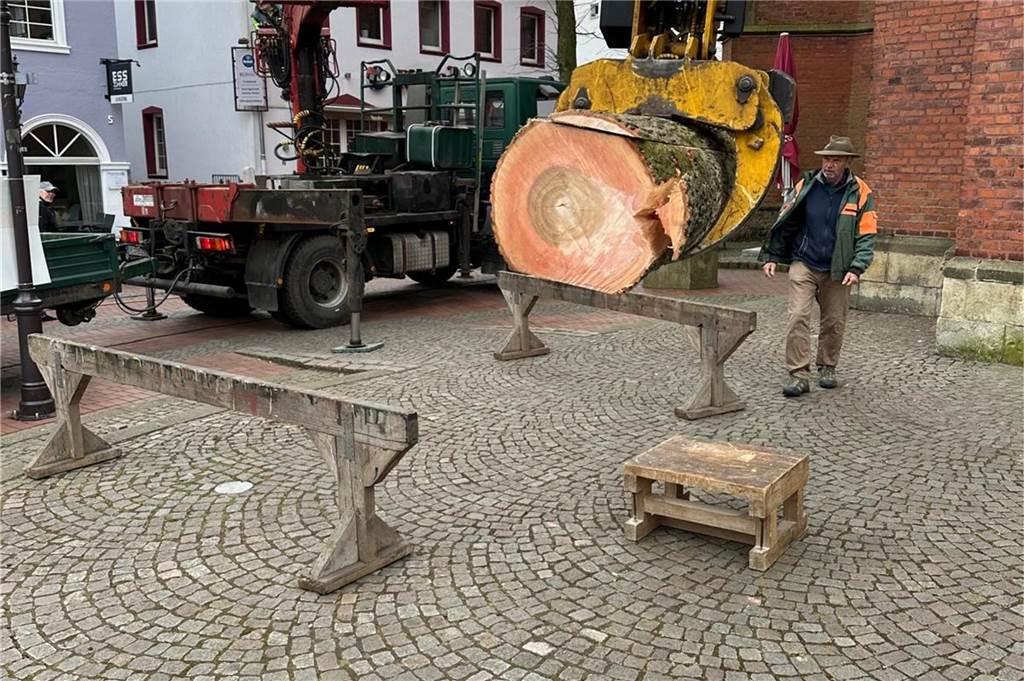 Der Baumstamm ist aufgebockt, damit er bearbeitet werden kann.