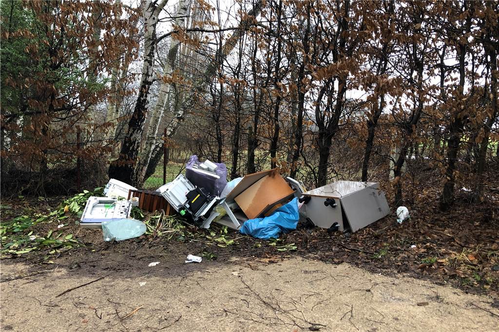 200 Schafe stimmen für eine bessere Beschilderung am Lanstroper See Der Bereich um den Lanstroper See wird auch immer wieder für wilde Müllablagerungen genutzt - hier ein aktuelles Beispiel von dem kleinen Parkplatz, der von der Deininghauser Straße abgeht