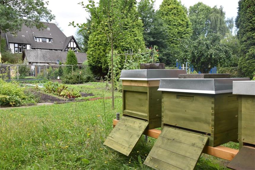 Arbeitergarten Zeche Zollern ist kunstvoll auf andere Art Der Blick auf den Arbeitergarten Zeche Zollern, an den Bienenstöcken vorbei auf Gemüsebeet und die Hühner hinten.